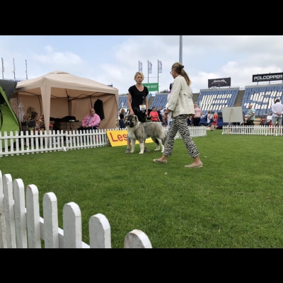 IDS LESZNO'18 - BAGIRA - ZWYCIĘZCA MŁODZIEŻY